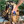 Load image into Gallery viewer, Discology Disc Golf OG V3 Disc Golf Bag - Coyote Tan