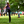 Load image into Gallery viewer, Lightning Standard #2 Upshot Putter Golf Disc