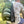 Load image into Gallery viewer, DISCOLOGY Putter Pouch | 8 Disc Capacity | Disc Golf Cart Putter Pouch | Velcro Patch for Customization | Disc Golf Accessories