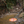 Load image into Gallery viewer, Disc Golf Retriever Pole