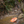 Load image into Gallery viewer, Disc Golf Retriever Pole