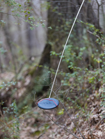 Why Discology's Bird Dog is Essential for Disc Golf Enthusiasts